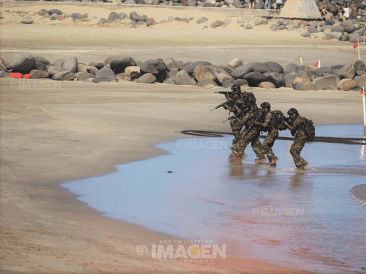 Semar realiza Operaciones Anfibias en playa de Boca del Río (+Video)