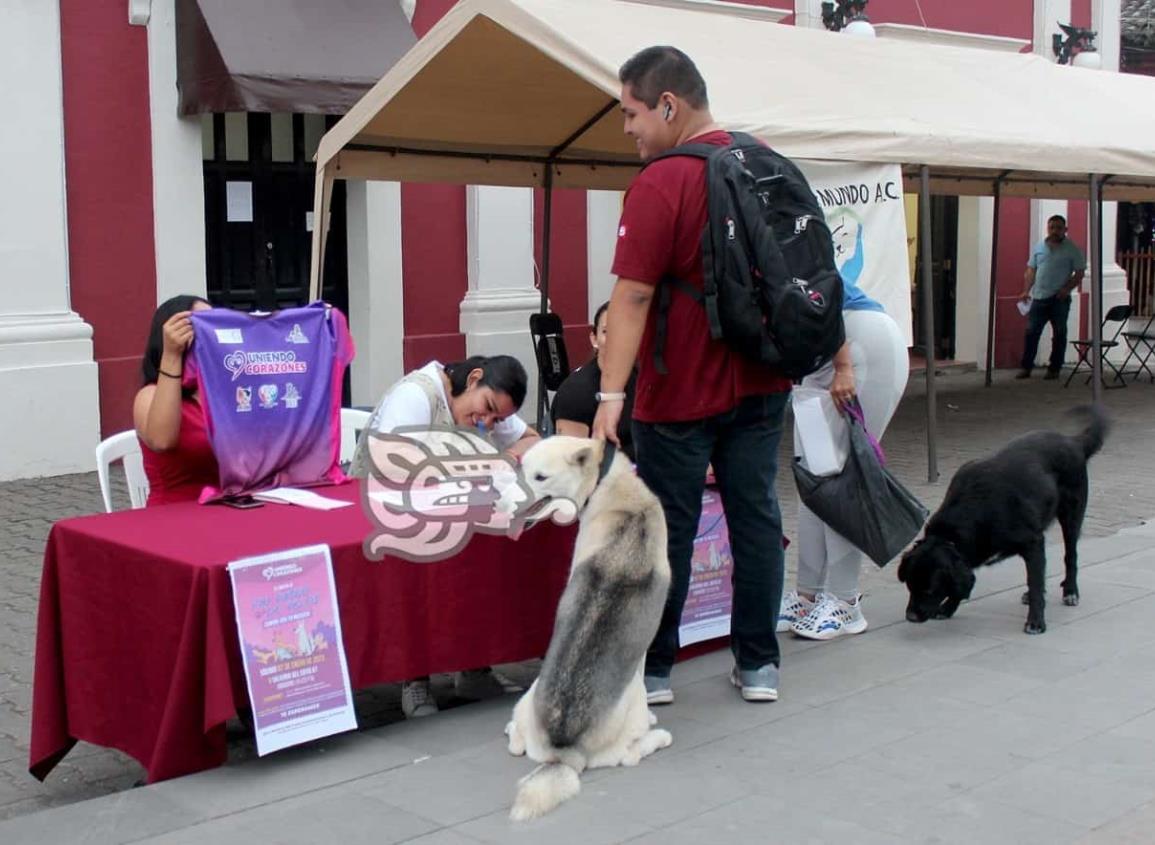 ¡’Paseo de Pelos’! Lomitos caminarán por calles de Misantla