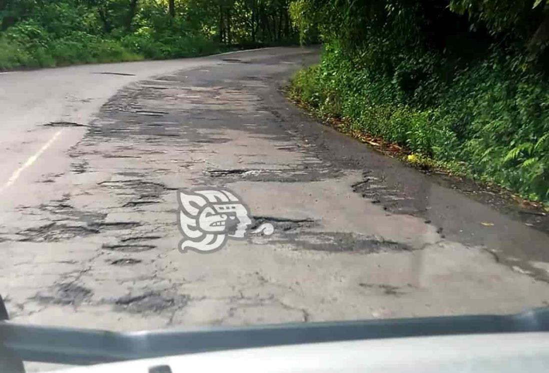 Carreteras estatales, en pésimo estado, acusa obispo de la zona norte de Veracruz