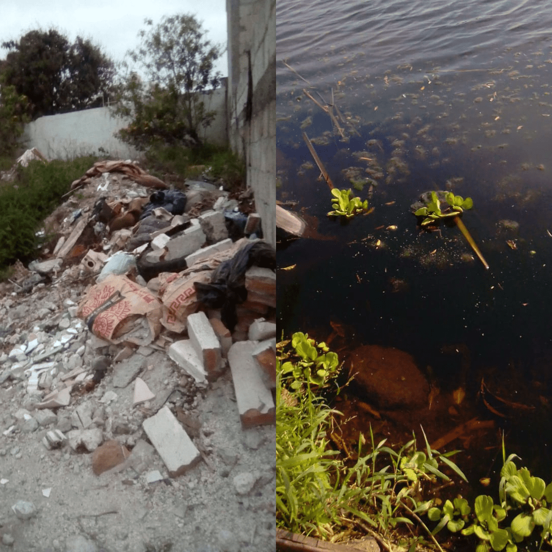 Vecinos denuncian terreno baldío abandonado y posible ecocidio en colonias de Veracruz