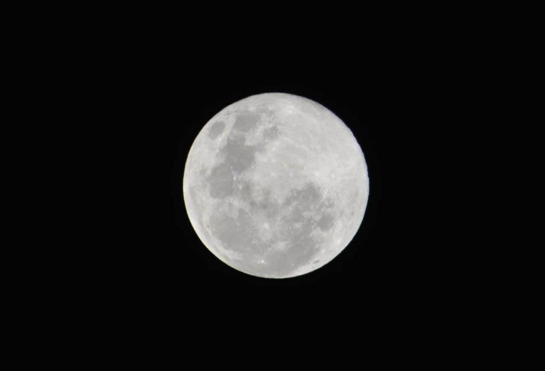 Luna llena Lobo ilumina el cielo veracruzano