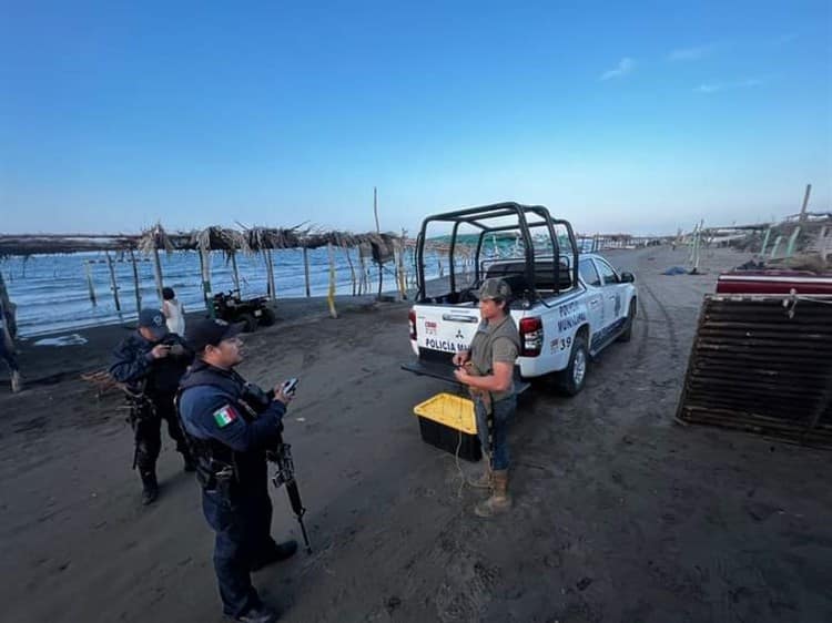 Bañistas denuncian venta ilegal de iguanas en playas de Antón Lizardo