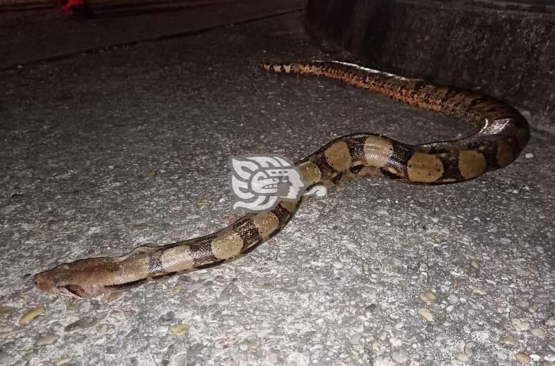 Vecinos insisten en la limpieza de un predio en Minatitlán