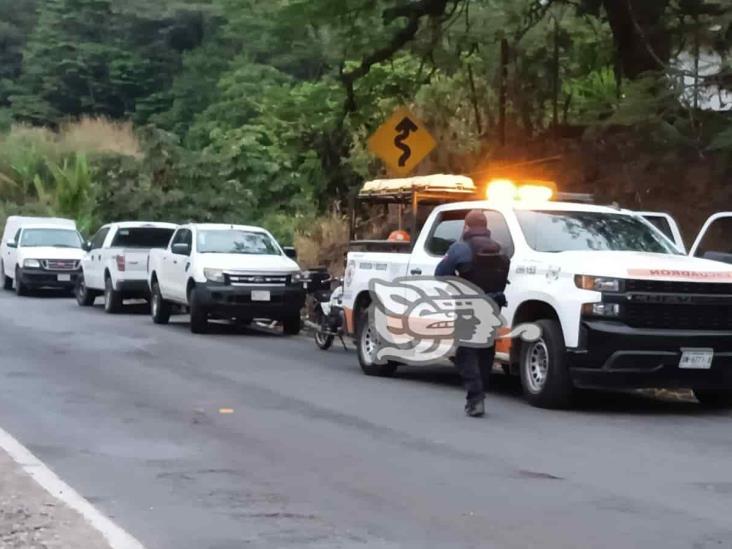 Hallan cabeza humana en el Puente del Diablo, en Coatepec