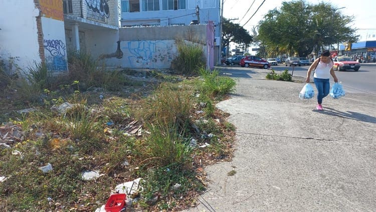 Terreno abandonado genera inseguridad para vecinos de la colonia Ortiz Rubio