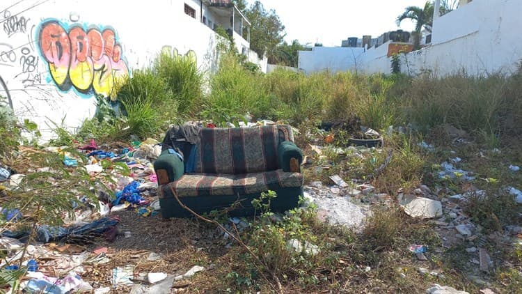 Terreno abandonado genera inseguridad para vecinos de la colonia Ortiz Rubio