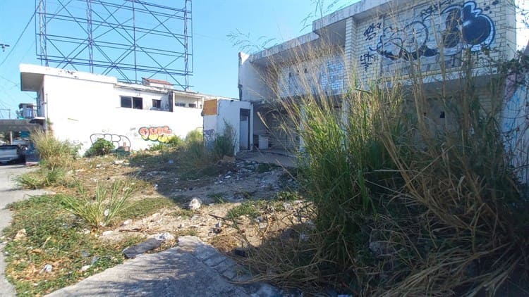 Terreno abandonado genera inseguridad para vecinos de la colonia Ortiz Rubio