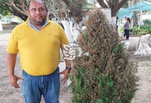 Inicia en Jáltipan Recicla tu navidad.