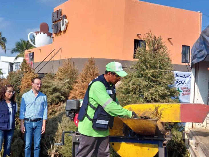 ¿Dónde puedo reciclar mi árbol de Navidad en Boca del Rio? (+Video)