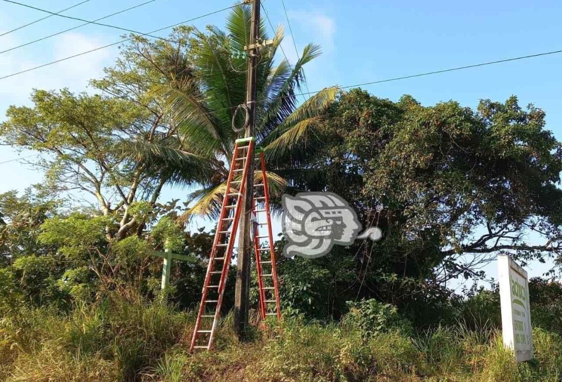 ¡Vive de milagro! Instalador de internet recibe descarga eléctrica en Veracruz