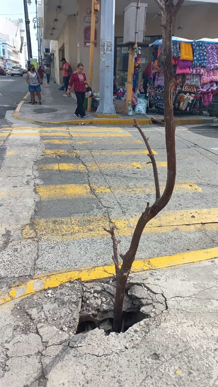 Reparan boquete en banqueta del Centro de Veracruz