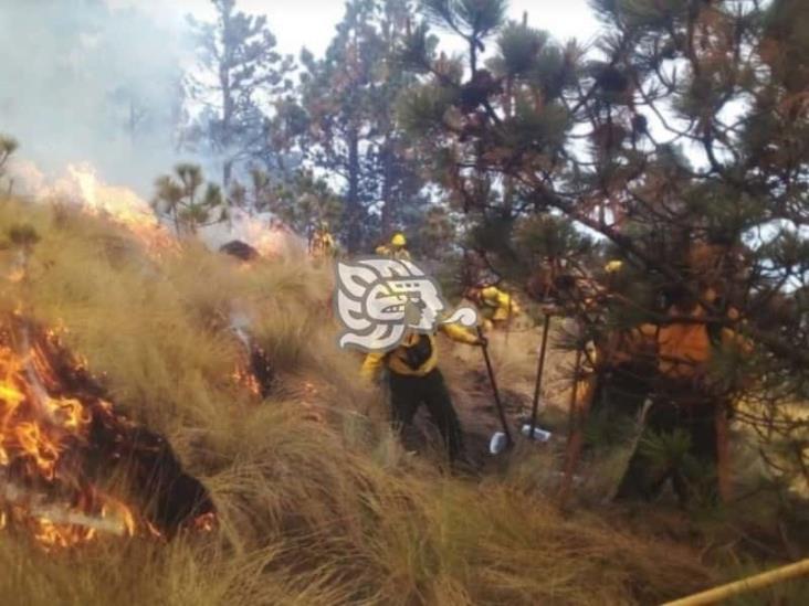 Emiten recomendaciones para evitar incendios forestales en Veracruz