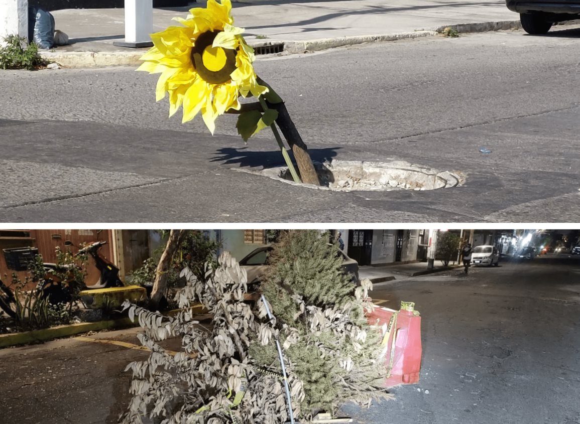 Con adorno de girasol y ramas señalizan registro sin tapa y socavón en dos colonias de Veracruz