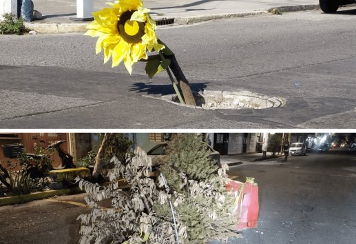 Con adorno de girasol y ramas señalizan registro sin tapa y socavón en dos colonias de Veracruz