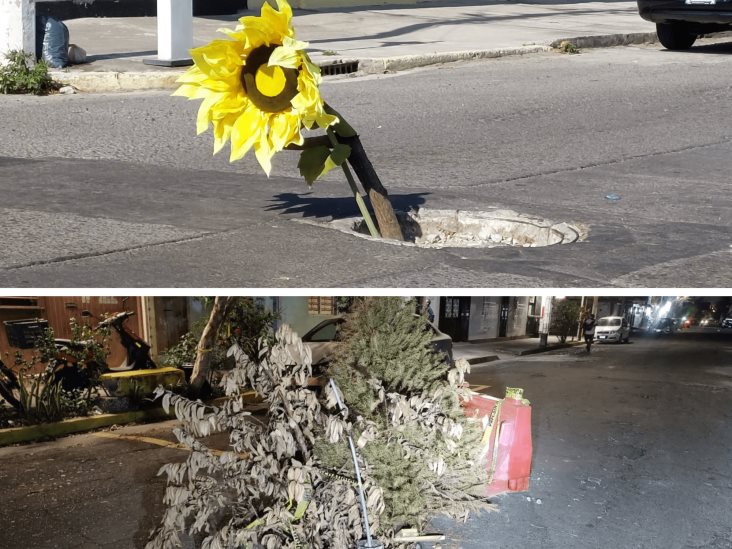 Con adorno de girasol y ramas señalizan registro sin tapa y socavón en dos colonias de Veracruz