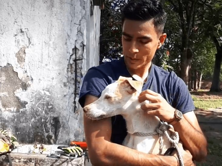 Rescatan a perrito que cayó en un pozo en colonia de Veracruz