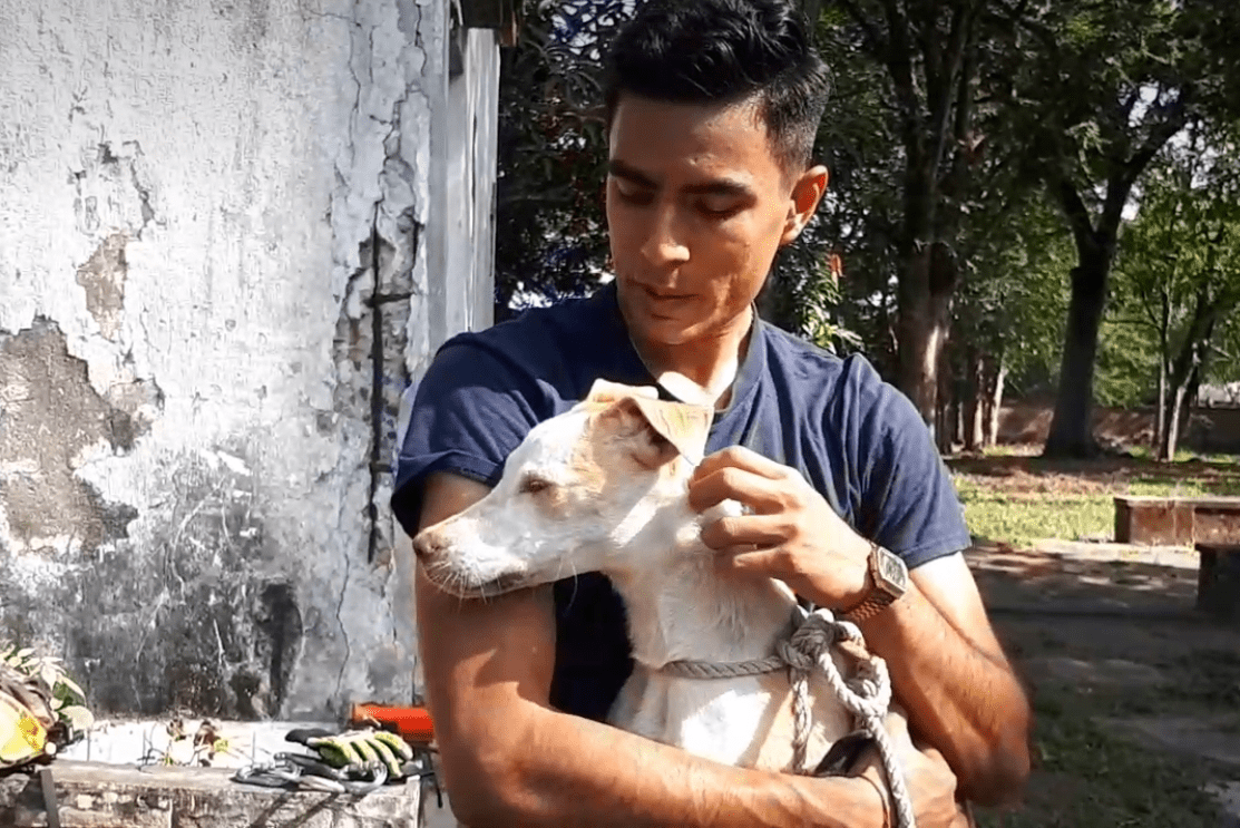 ¡Lo salvan! Perro cae a pozo de 15 metros de profundidad en la colonia Progreso