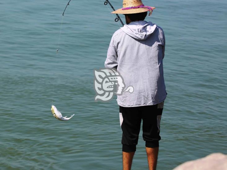 Con caña, tarraya o buceando, persiste tradición de la pesca en Coatzacoalcos