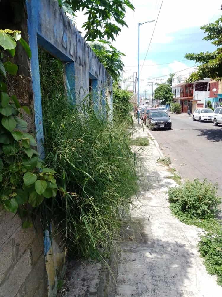 Claman atención por apestoso terreno baldío en calle Texcoco