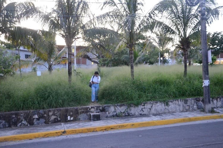 A unos pasos de la Fiscalía, abusan de jovencita en un parque de Veracruz