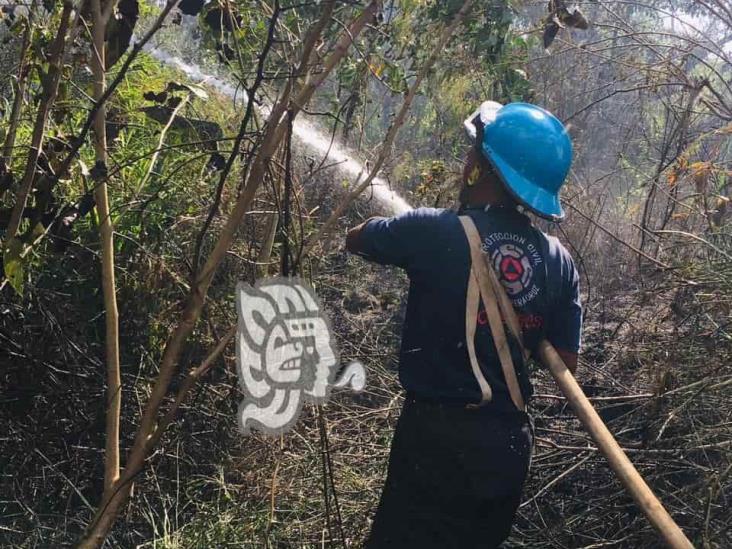 Protección Civil monitorea direcciones municipales del sur