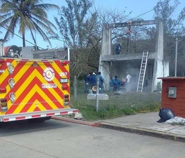 En Alvarado, retiran enjambre de abejas africanizadas