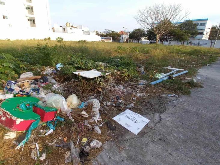 Alertan sobre malos olores que despide un terreno lleno de basura y desechos en Boca del Río