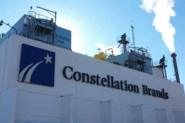 Continúan contrataciones de obreros para proyecto de crear planta de Constellations Brands en Veracruz