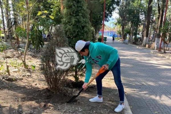 Siembran pinos de ´Recicla tu Navidad´ en Alameda de Camerino Z. Mendoza