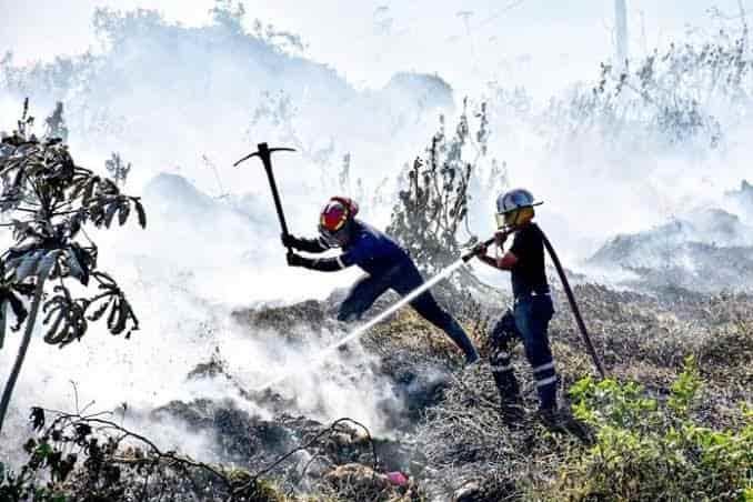 Suman 50 incendios de pastizales en el sur de Veracruz