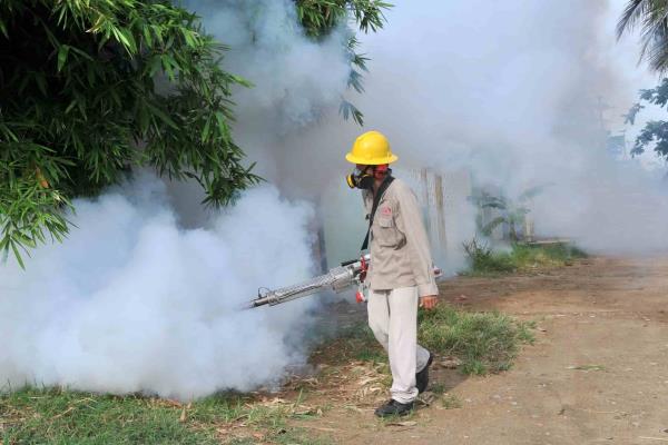 Aumentaron 42% casos de dengue en 2022