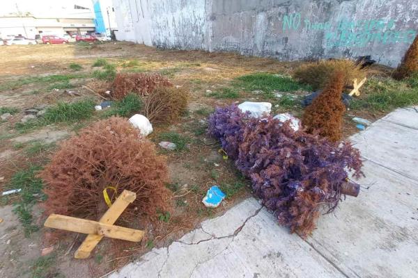 Ocupan terreno en Boca del Río como basurero para dejar arbolitos de Navidad