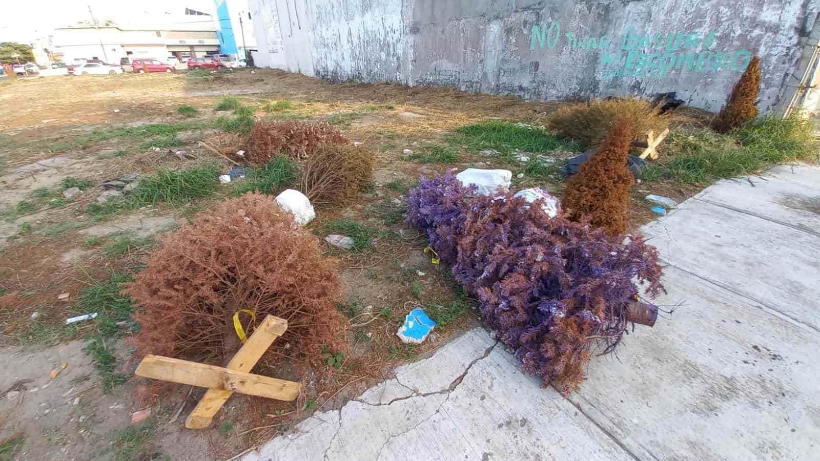 Ocupan terreno en Boca del Río como basurero para dejar arbolitos de Navidad