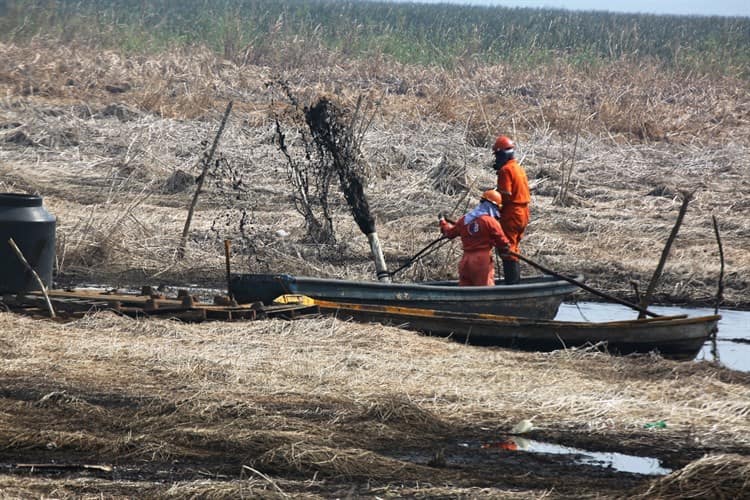 Reparan tubería de amoniaco en el Sur de Veracruz (+Vídeo)