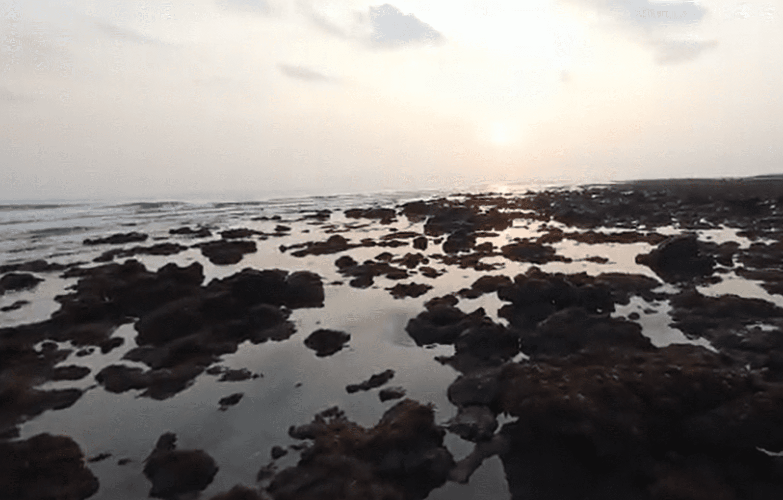 Se retira el mar en Boca del Río (+video)