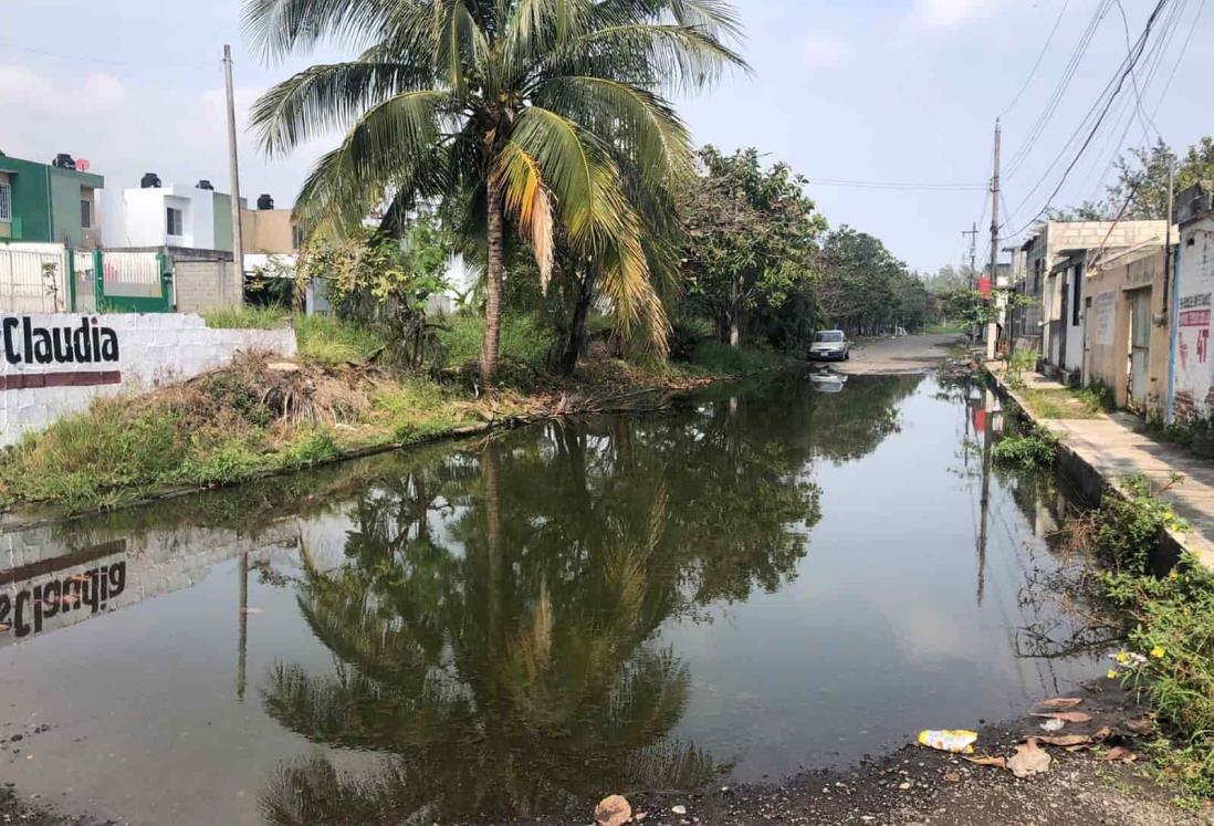 Laguna maloliente de aguas negras enferma a vecinos de la Carranza