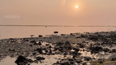 Se aleja el mar en Boca del Río (+Video)