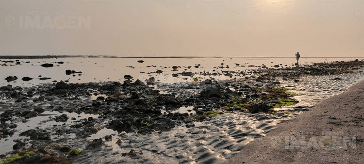 Se aleja el mar en Boca del Río (+Video)