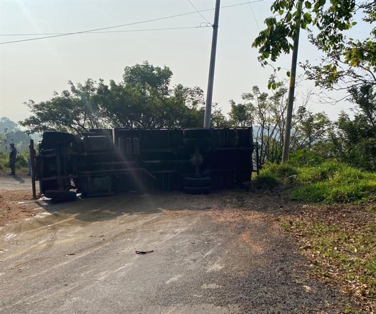 Vuelca camión cargado con caballos y asfalfa en San Andrés Tuxtla