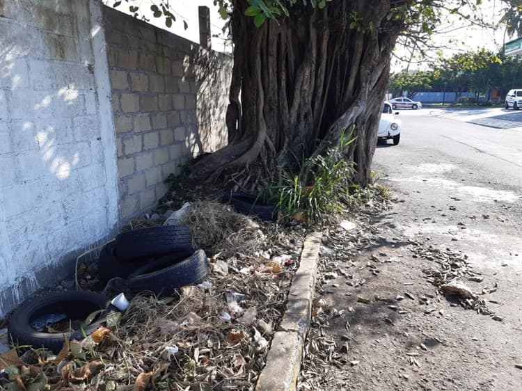 Urge reparar banqueta en mal estado y llena de basura en calles de Veracruz