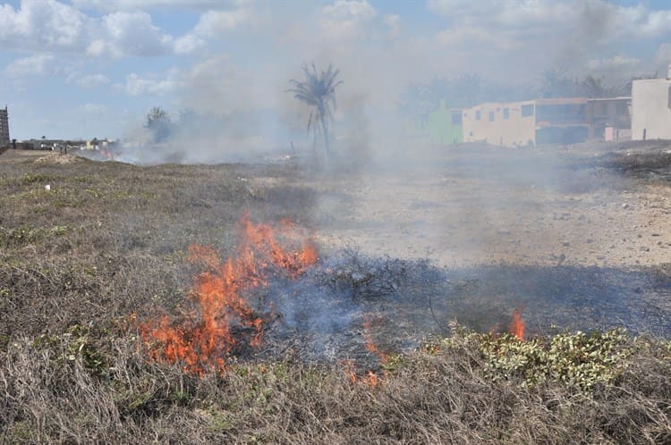 Se extiende sequía a siete municipios del sur (+Video)