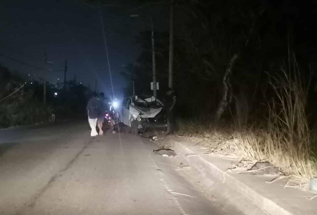 Automovilista choca contra 3 vacas y abandona la unidad en Veracruz