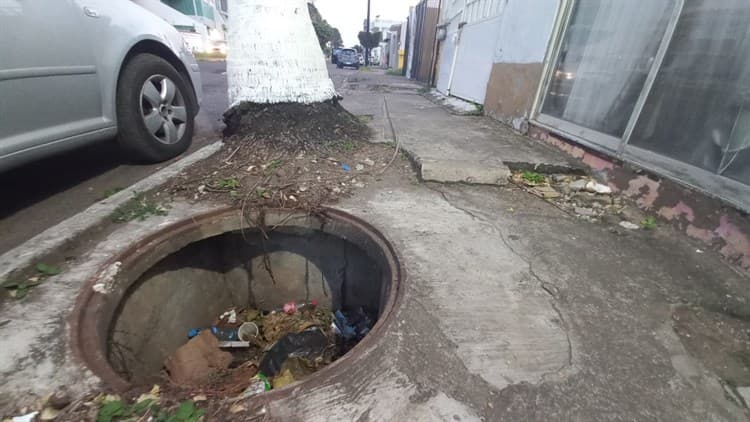 Cumplen con tapa de registro en el Jardines del Virginia