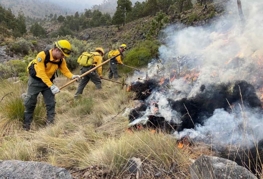 Luchan contra incendio en Pico de Orizaba; inició el domingo