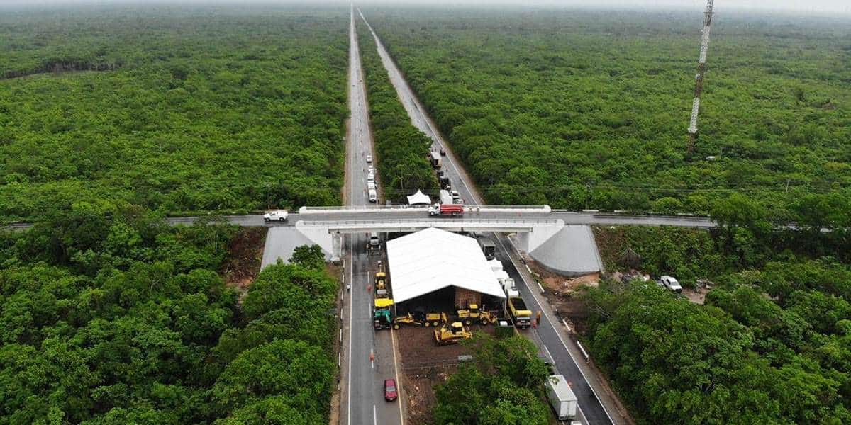 Calakmul es el nuevo Nueva York del mundo maya: Layda Sansores