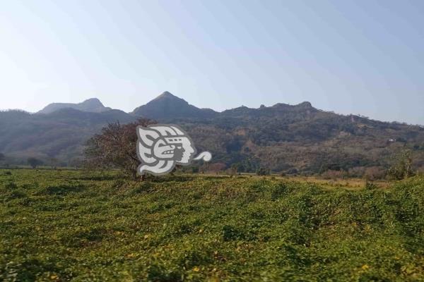 Esencial, que personas realicen acciones por el cuidado ambiental: Semarnat