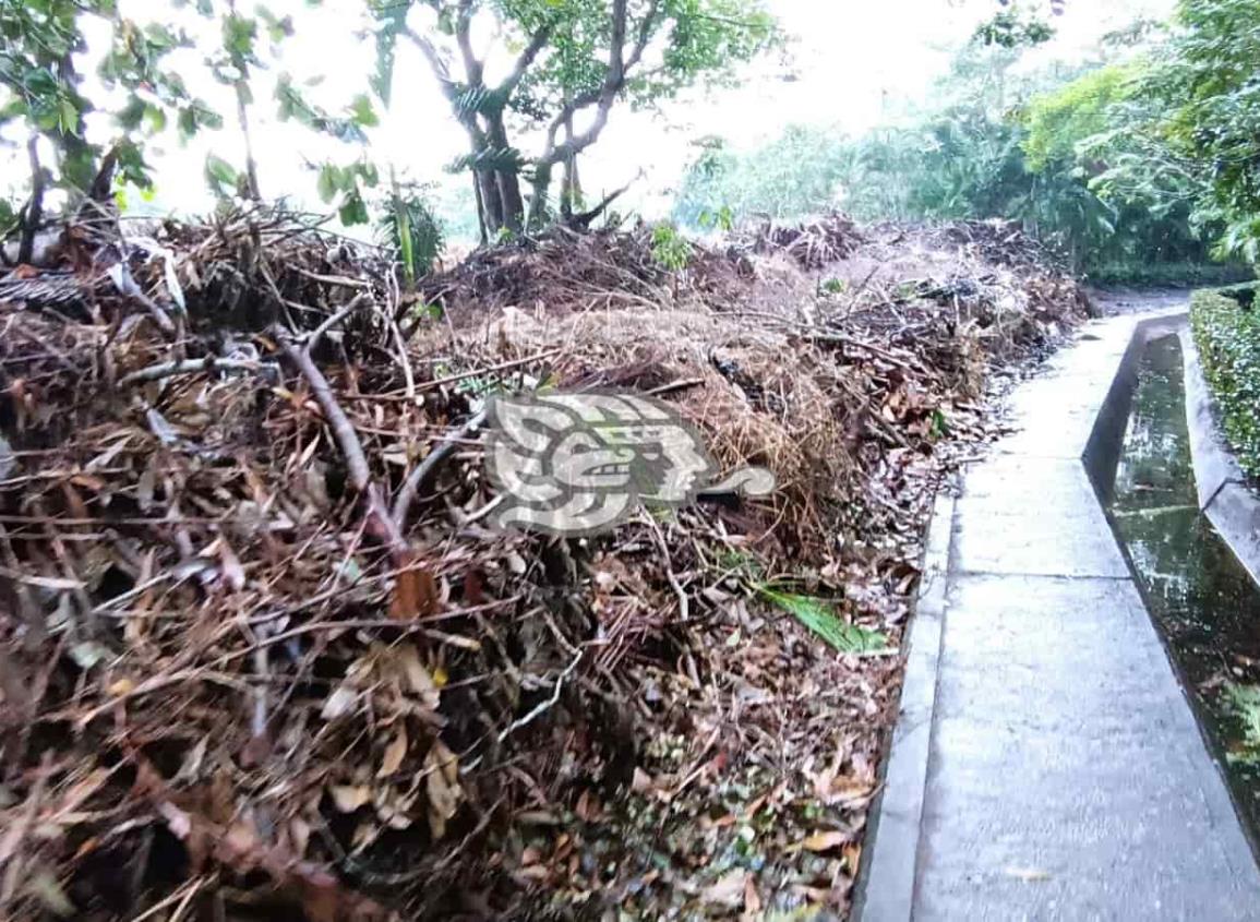 En basurero se ha convertido el parque La Alameda