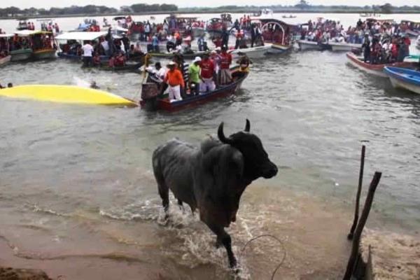 Estos años de cárcel podría recibir quien maltrate a toros en Fiestas de la Candelaria en Tlacotalpan