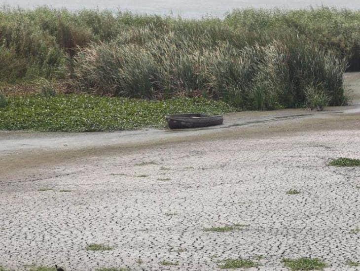 Alertan hasta 200 días de sequía en zona serrana de Veracruz