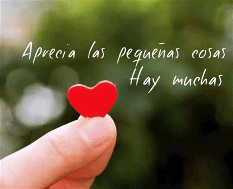 ##imagen-cuerpo##